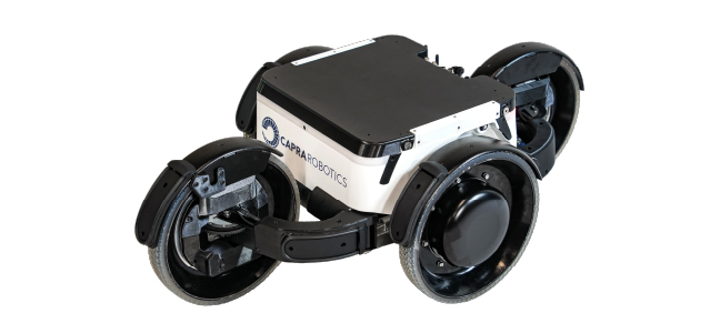 Modello CAPRA 500